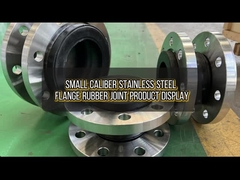 جفت لاستیکی فلنج از فولاد ضد زنگ